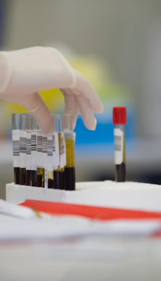 A client reviewing a lab report